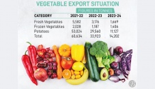 Vegetable exports plunge 77% in 2yrs