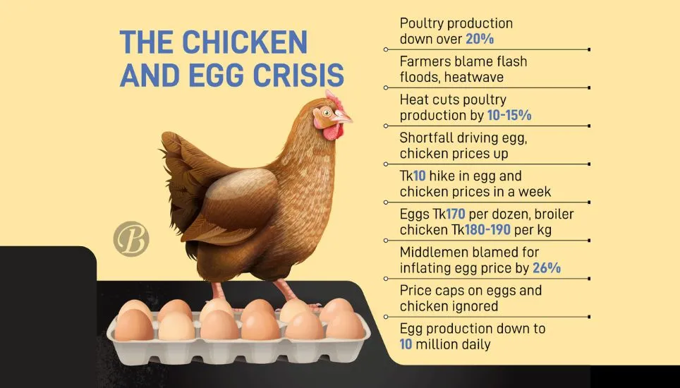 Poultry production plummets over 20%