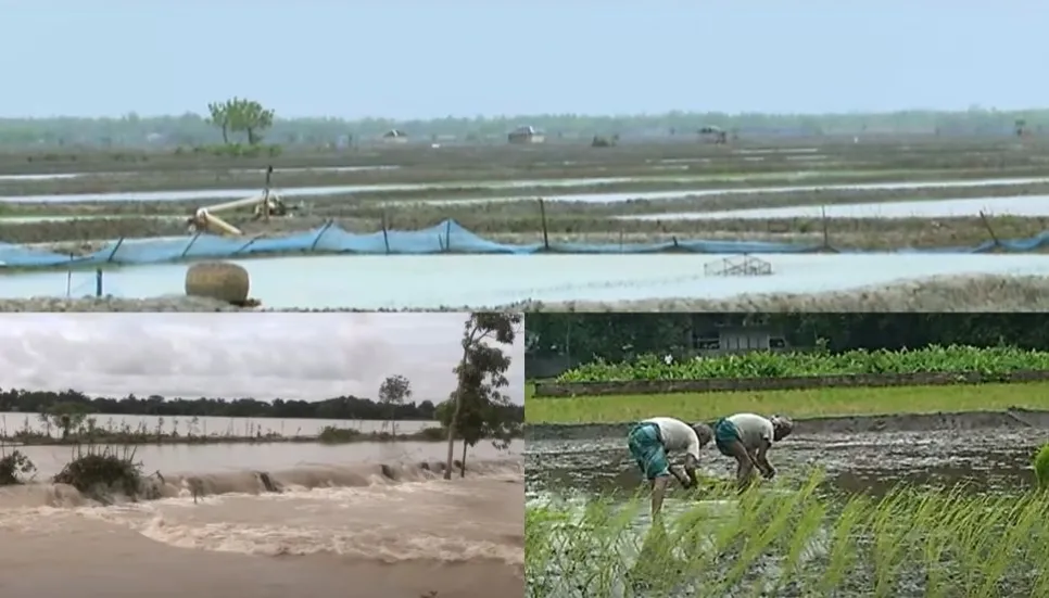 Flood damages 842.38-hectare lands' crops in Khulna