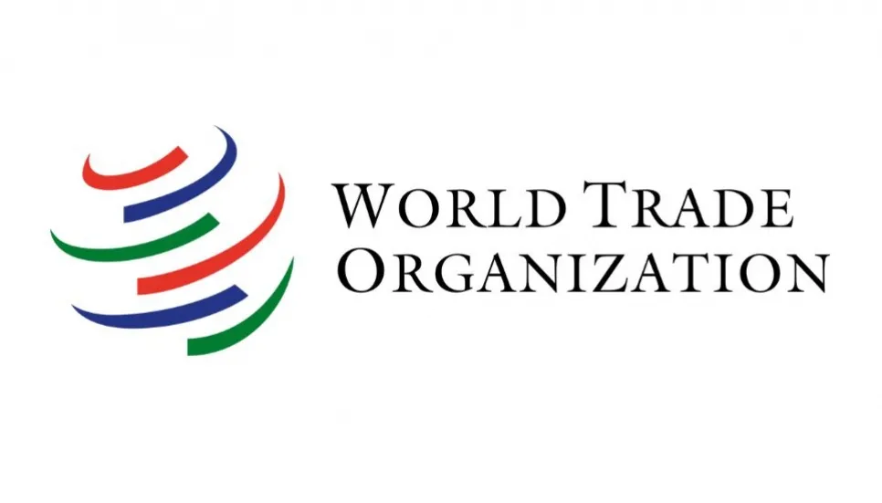 Bridge digital divide to leverage global trade: WTO 