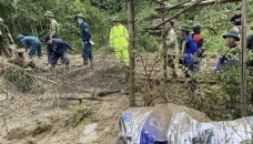 Vietnam's storm toll rises to 155