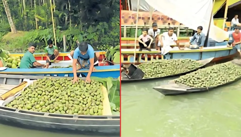 Millions on water: Bhimruli’s entrancing floating hog plum market