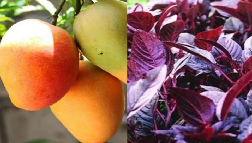 Studies find harmful metals, pesticides in fruits, vegetables