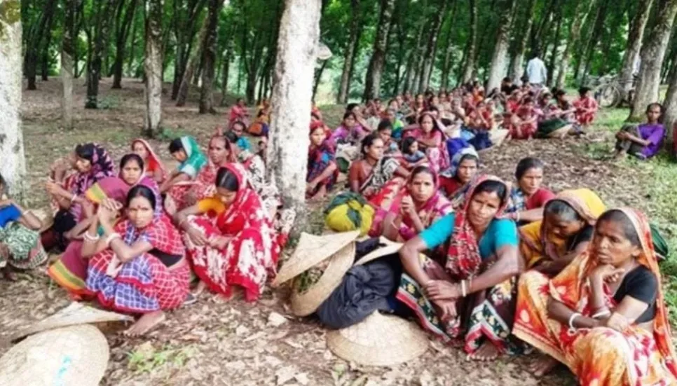 Tea workers in Sylhet strike for wage increase