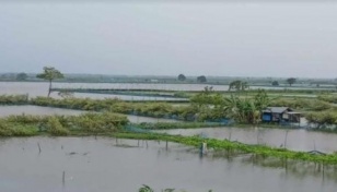 Heavy rains damage fish enclosures, standing crops in Khulna