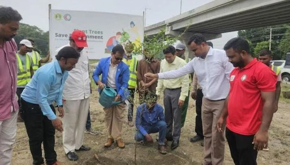 Extensive tree plantation stressed to reduce carbon emission