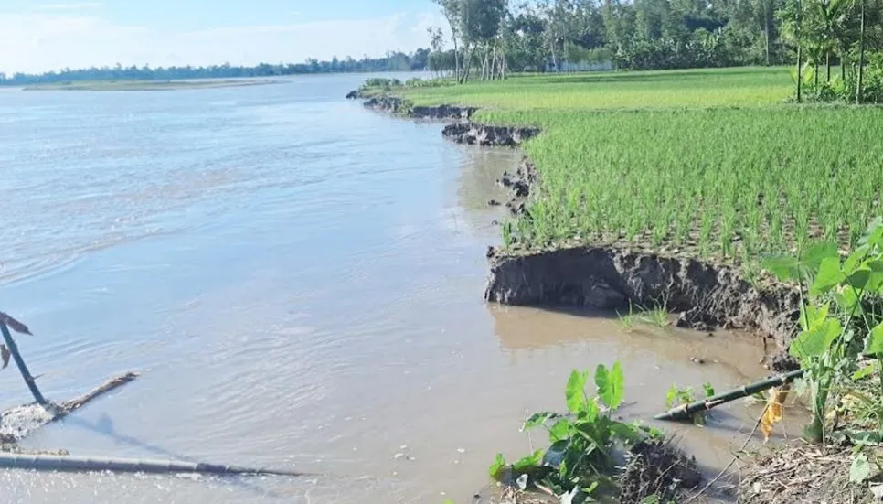 Flood situation improves in Rangpur districts