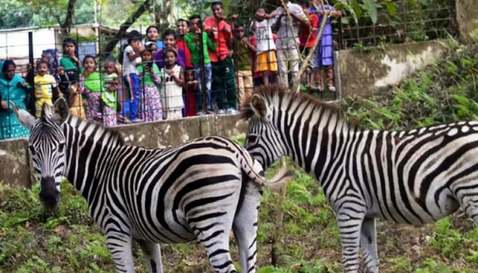 Mirpur, Rangpur zoo closed indefinitely