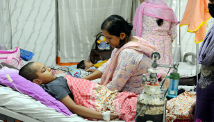 440 more hospitalised with Dengue in 24hrs