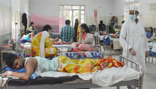 Dengue: 275 more hospitalised in 24hrs