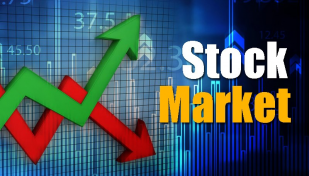 Number of day traders higher, investors less in bourses: Shibli