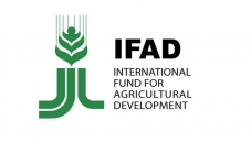 Food systems ignoring needs of poor doomed to fail: IFAD