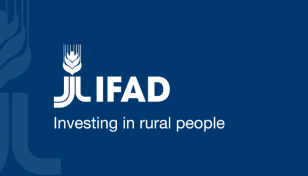 IFAD urges integration of nutrition in all development interventions 