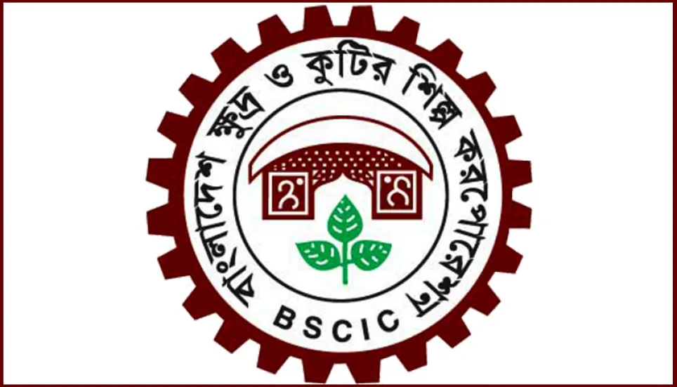 BSCIC to assist in disbursement of stimulus fund