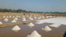 BSCIC to ensure salt supply to preserve sacrificial animal rawhide