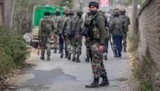 India's Kashmir strategy 'must be indigenous, effective and sustainable'