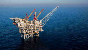 Two recently-relinquished offshore gas blocks yet to be exploited