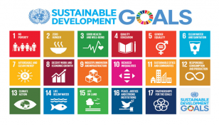 Lawmakers optimistic of achieving SDGs before 2030