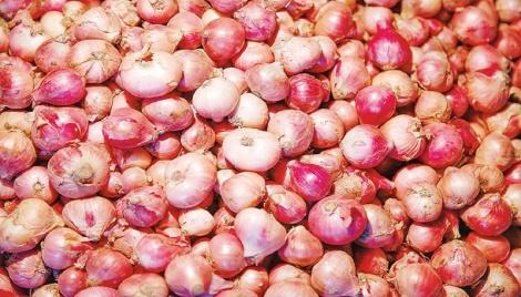 India bans onion export, reports The Economic Times