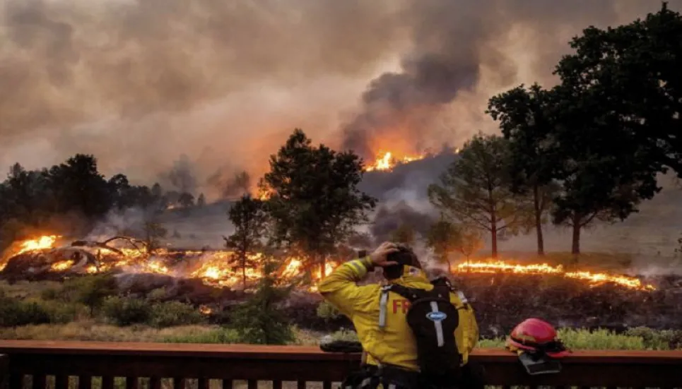 Global warming 'driving California wildfires'