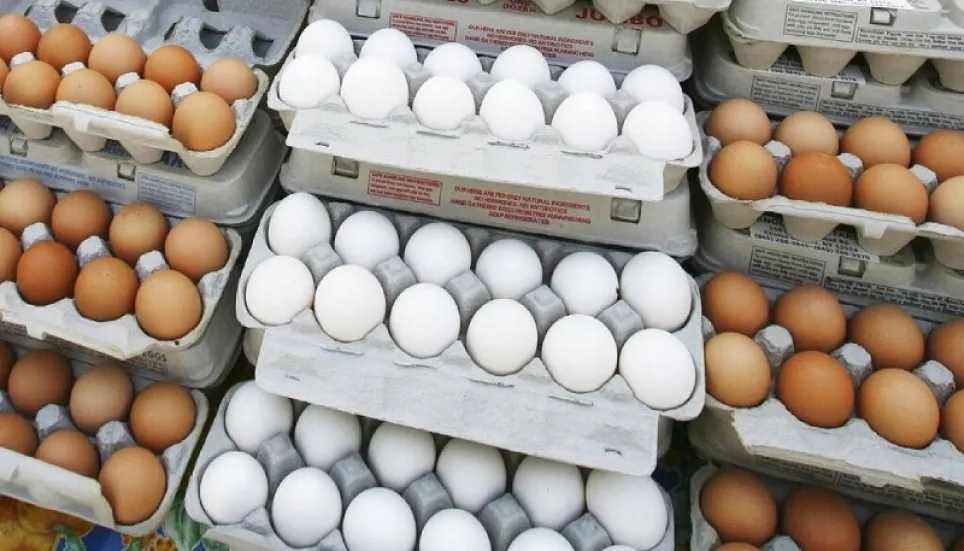 Egg consumption reduces risk of Covid-19 transmission: experts