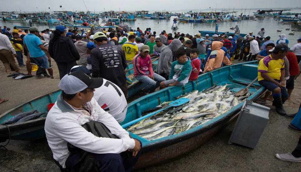 WTO aiming to net fishing deal