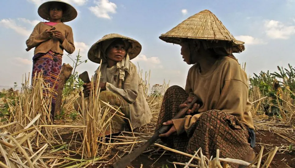 Land-grabbing causes indigenous people face displacement in Asia