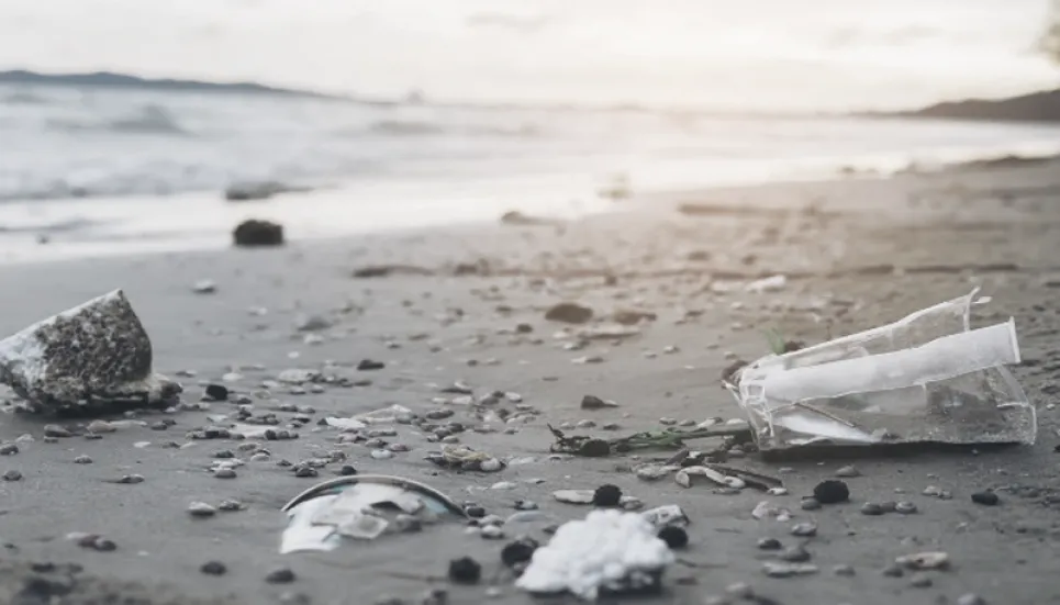 WB awards 4 teams for creative solution to fight plastic pollution