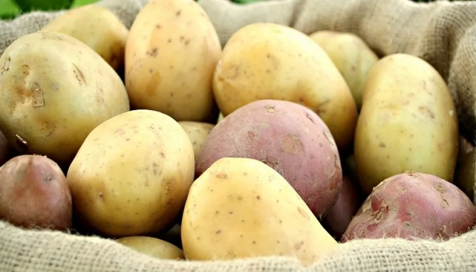 Govt to ensure sale of potatoes at fixed price 