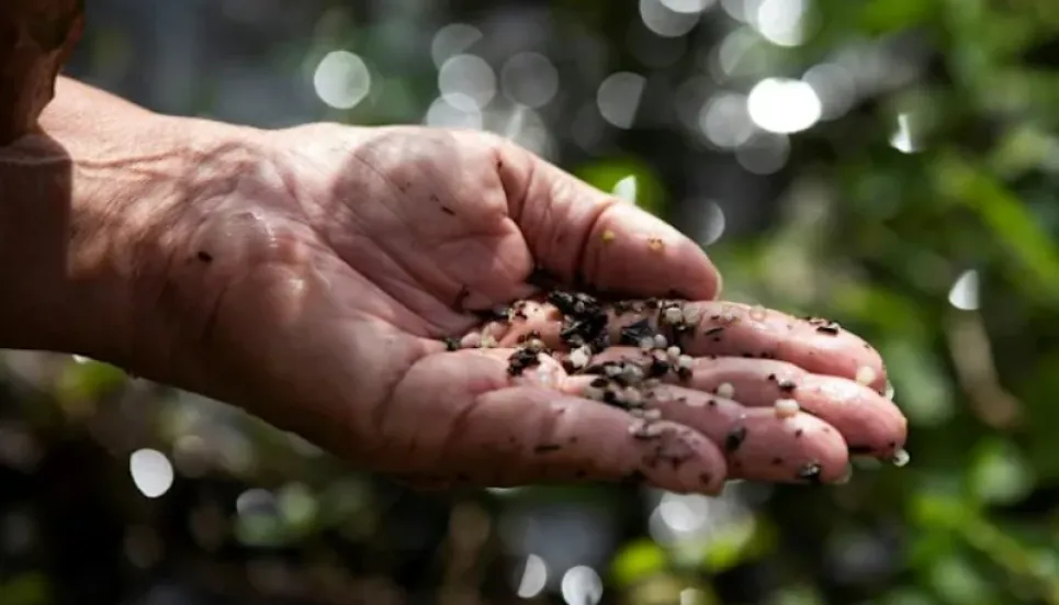 Texas bears brunt of US plastic pollution