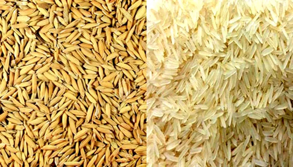 Govt begins paddy procurement directly from farmers