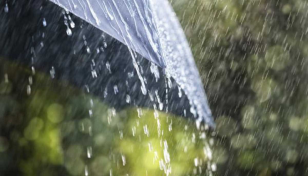 Light to moderate rain likely