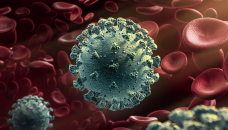 Are new coronavirus strains cause for concern?